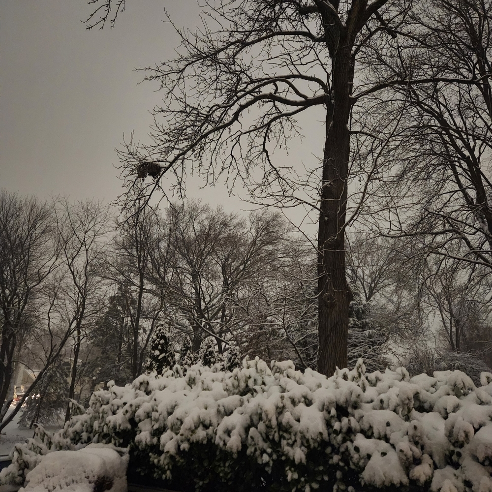 Meet your Posher, Edgar